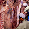 Descarboniza&ccedil;&atilde;o do setor de carnes a partir da bioenergia
