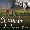 Feria de la Industria C&aacute;rnica (FIC)