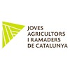 VI Jornada Porc&iacute;
