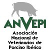 XII Foro Anvepi