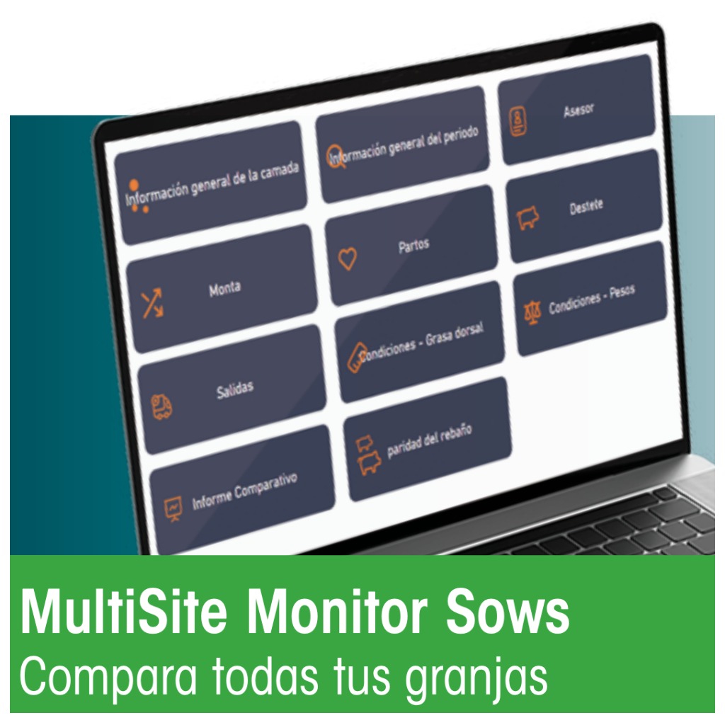Agrovision Insights