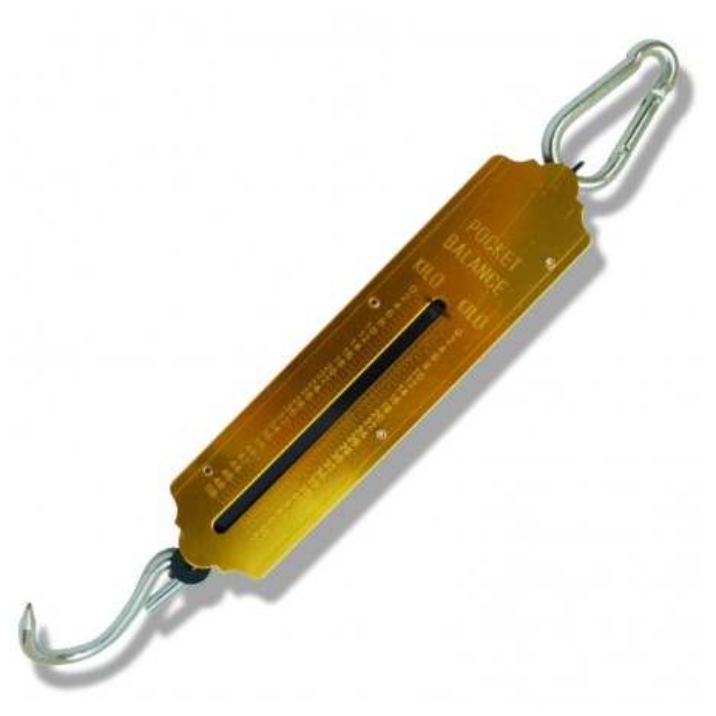 Tubular dynamometer - 50 Kg