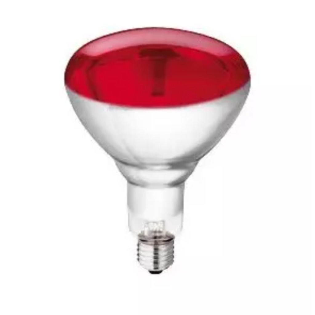 Lampadina riscaldante Philips da 250 Watt