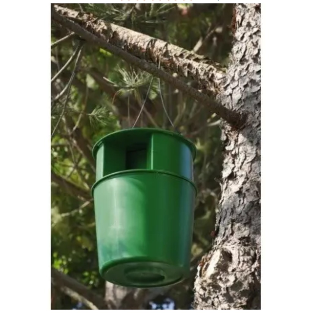 PROCEREX® Trappola per la processionaria del pino a cubo