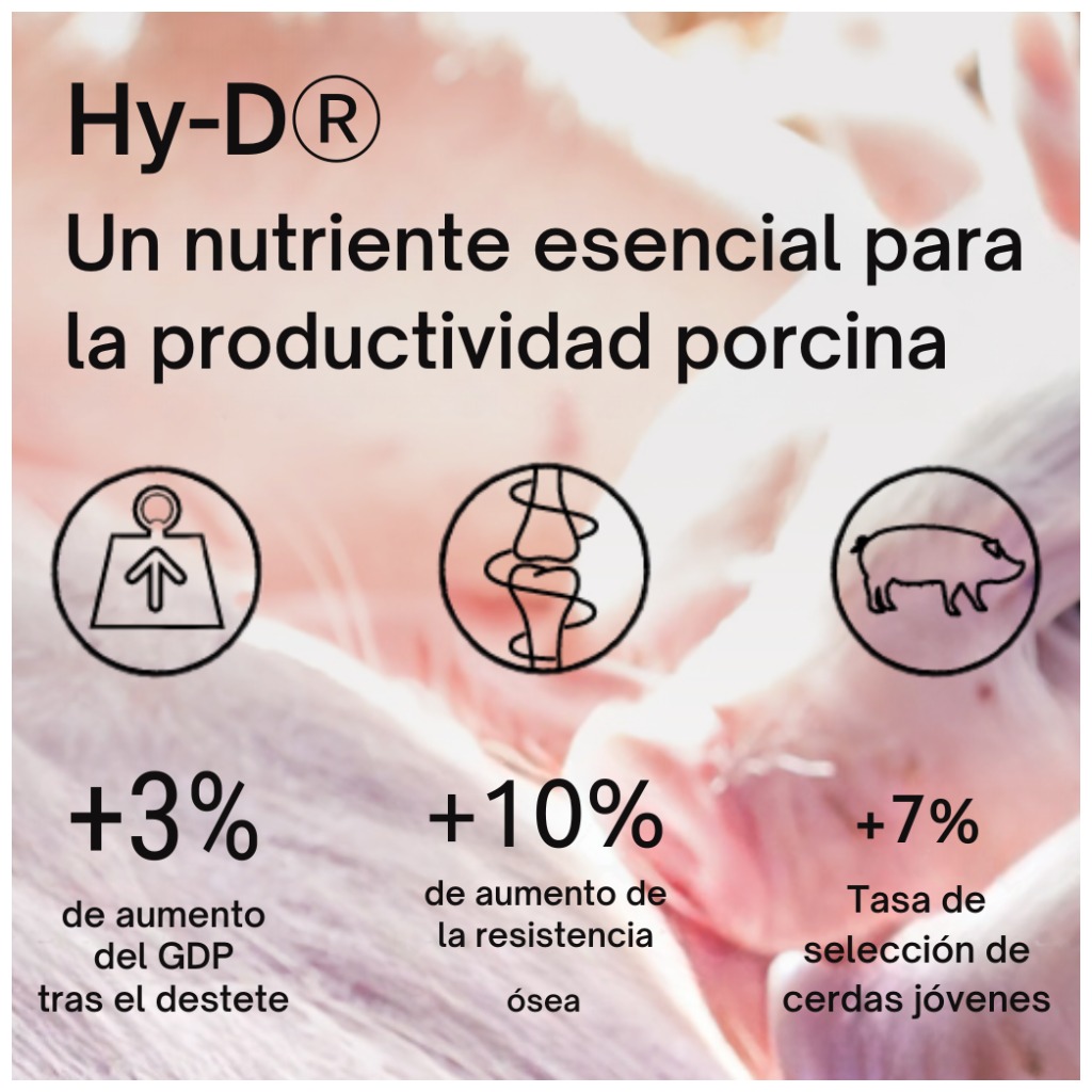 Suplemento vitamínico: Hy-D®