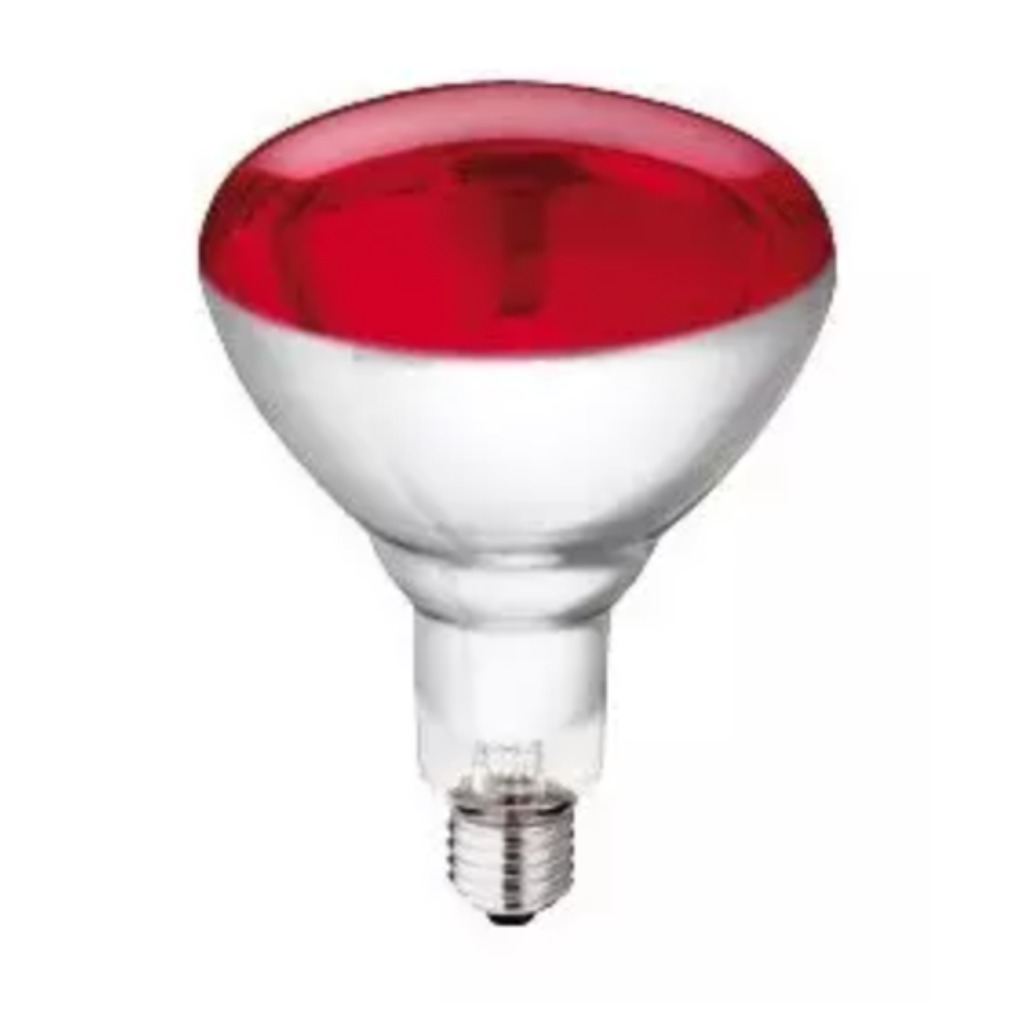Żarówka grzewcza Philips czerwona HG 250 W 10 szt.