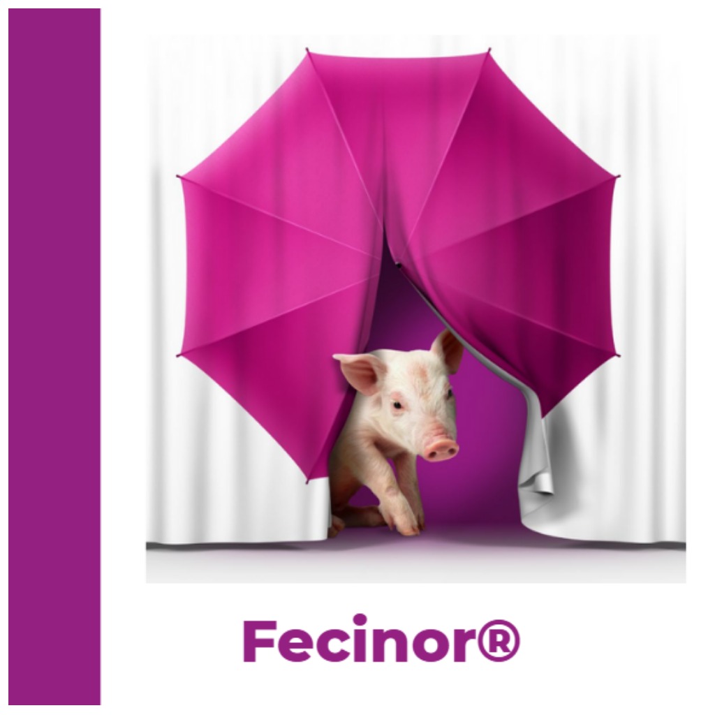 Fecinor®