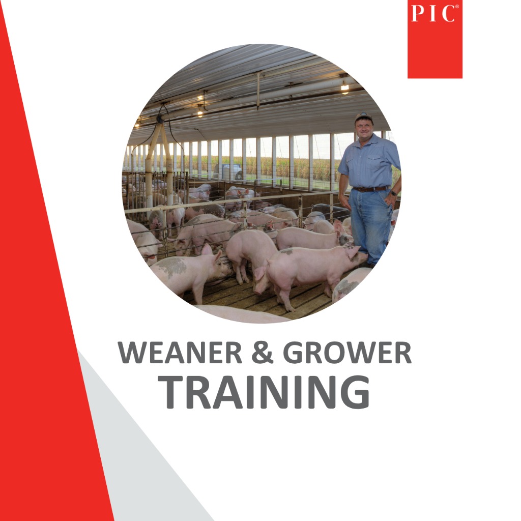 ONLINE Weaner and Grower Training - 27 May 2026