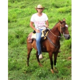 Julián Palacio